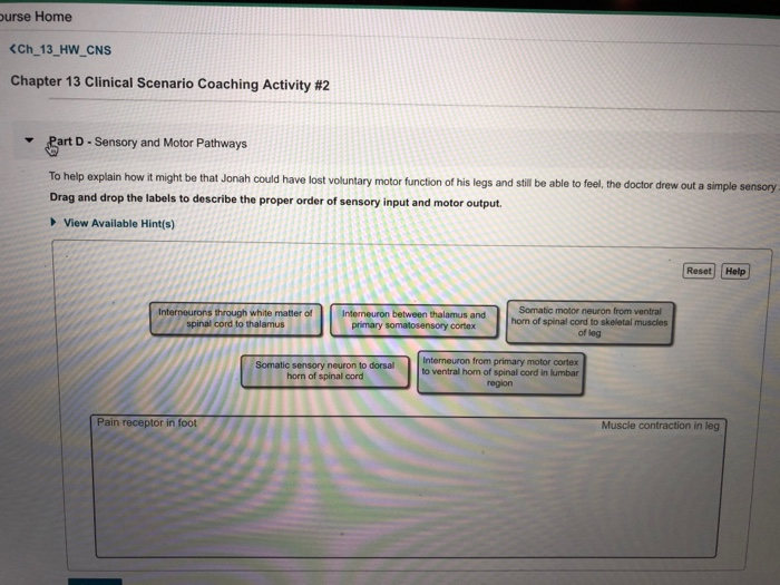 Urse Home Chapter 13 Clinical Scenario Coaching Chegg 