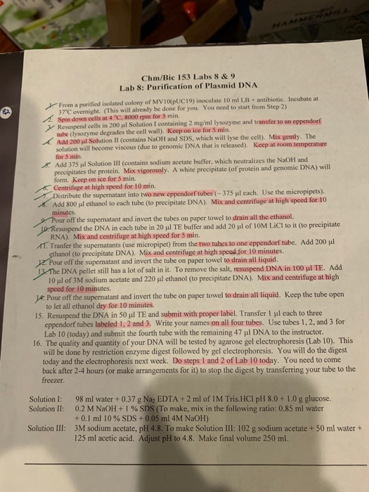 solved the lab report questions are