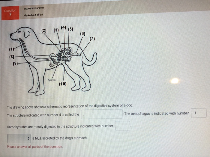 Solved Ncomplete Answer Question 7 Marked Out Of 4 0 Chegg Com