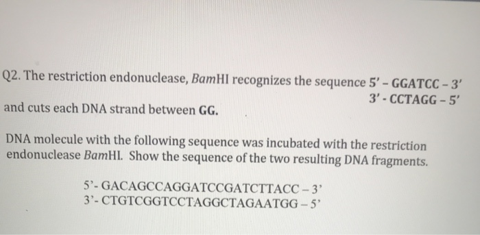 1bhm Restriction Endonuclease Bamhi Complex With Dna