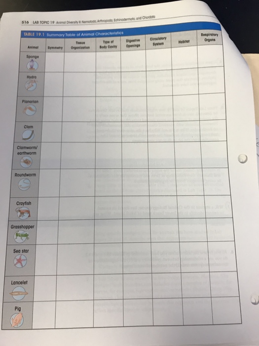 Solved: Complete This Table, Recording In The Appropriate 