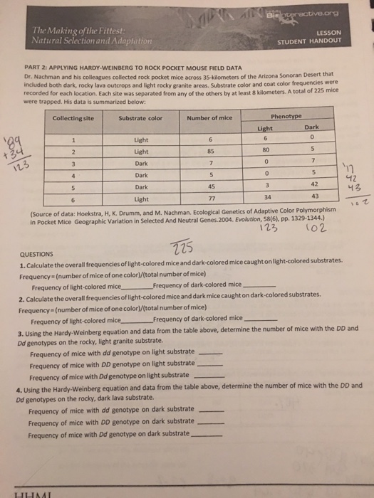 Solved Dr Nachman And His Colleagues Collected Rock Pocket Chegg Com