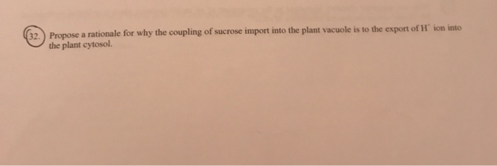 32.) Propose a rationale for why the coupling of sucrose import into the plant vacuole is to the export of H ion into the plant cytosol.