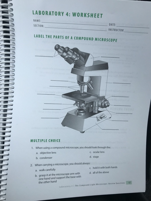 Compound microscope worksheet