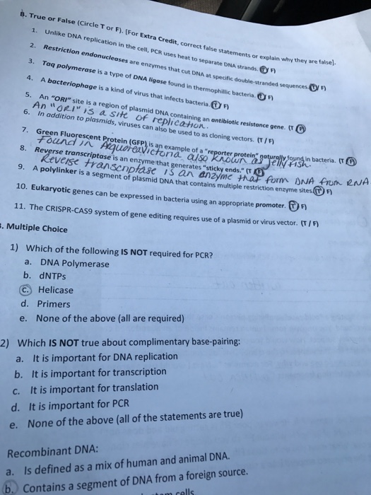 Solved Unlike Dna Replication In The Cell Pcr Uses Heat Chegg Com