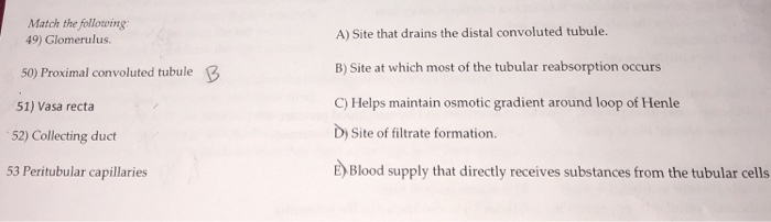 Solved Match The Following 49) Glomerulus. A) Site That | Chegg.com Solved Match The Following 49) Glomerulus. A) Site That | Chegg.com