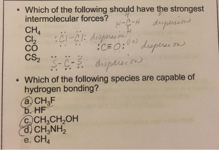 Solved Which Of The Following Should Have The Strongest I Chegg Com