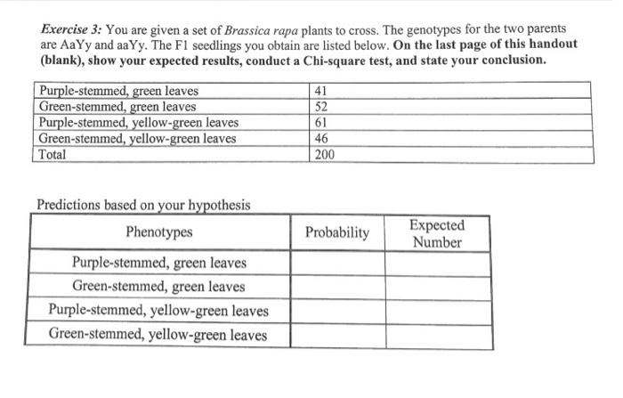 Solved Exercise 3 You Are Given A Set Of Brassica Rapa P Chegg Com