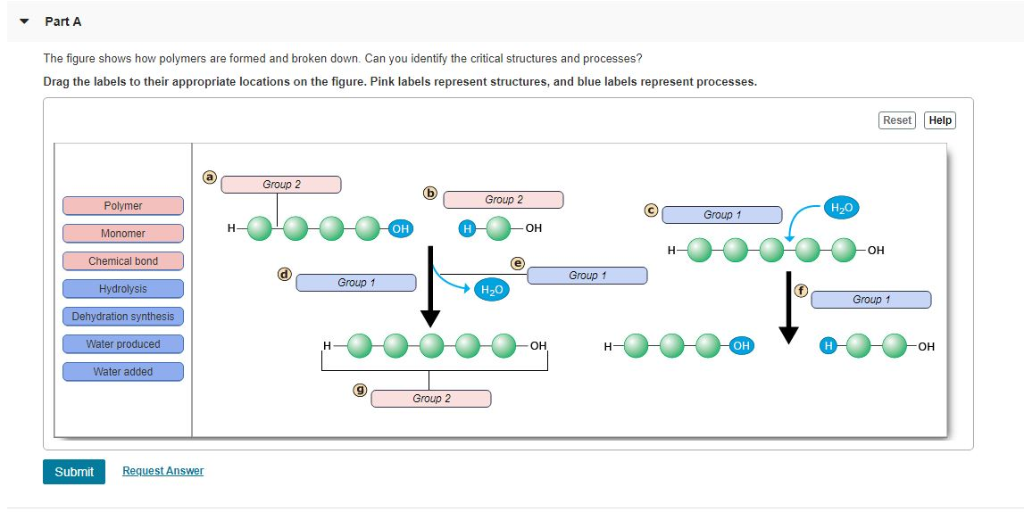 Solved Part A The Figure Shows How Polymers Are Formed An Chegg Com