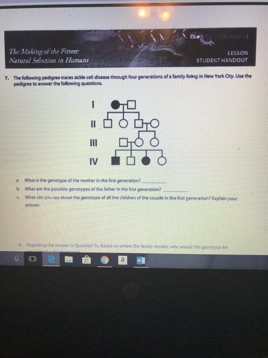 Solved Bis The Making Of The Fittest Natural Selection I Chegg Com