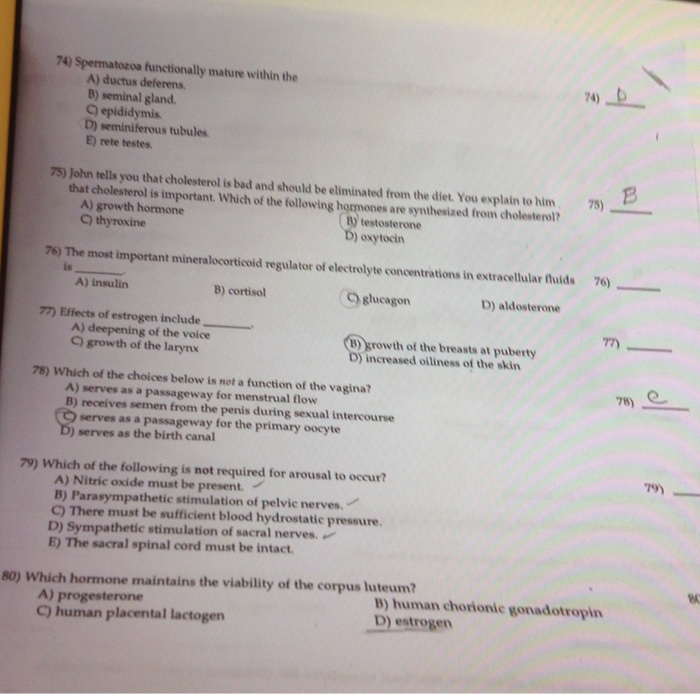 Solved 74) Spermatozoa Functionally Mature Within The A) | Chegg.com Solved 74) Spermatozoa Functionally Mature Within The A) | Chegg.com