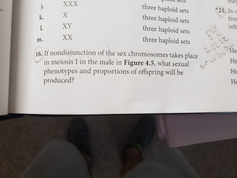 The Question And The Figure Chegg Com