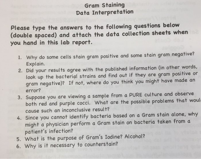 solved gram staining data interpretation please type the chegg com how to write a research topic example