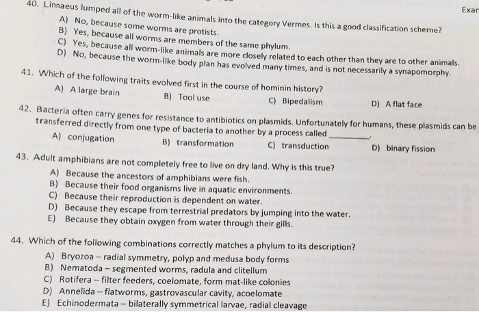 Solved Exar 40 Linnaeus Lumped All Of The Worm Like Anim