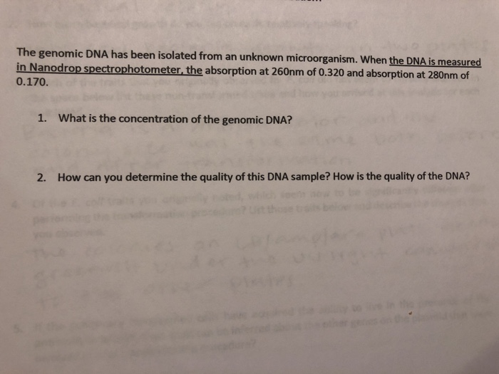 the genomic dna has been isolated from
