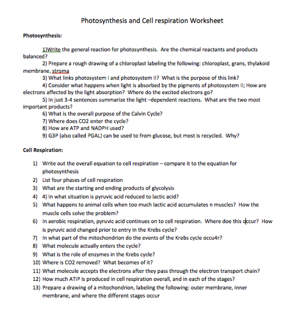 Photosynthesis and Cell respiration Worksheet  Chegg.com Regarding Photosynthesis And Respiration Worksheet Answers