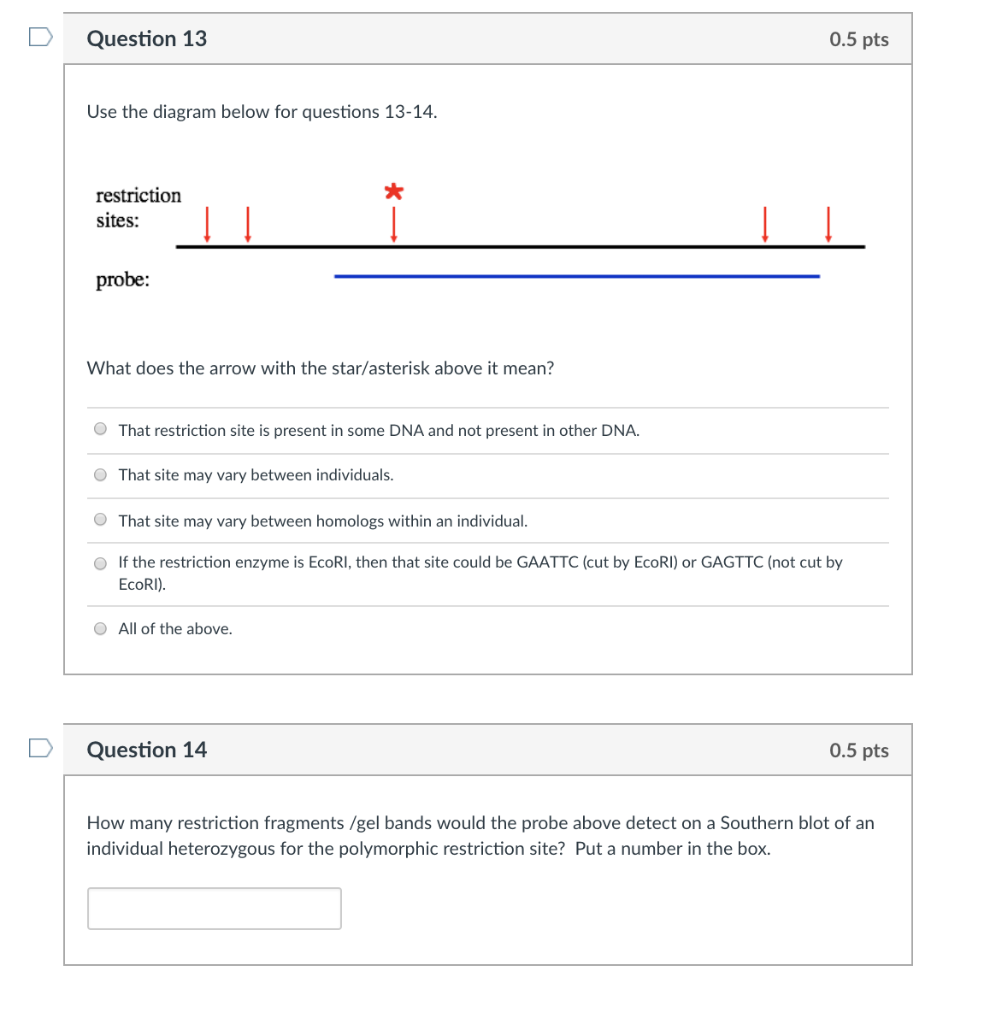ssr loci in sam s genome