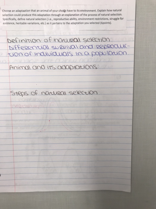 The work of art in an age of mechanical reproduction summary and analysis pdf image