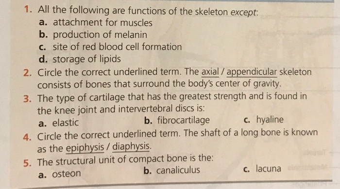 Solved 1 All The Following Are Functions Of The Skeleton Chegg Com