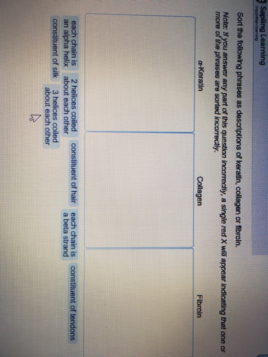 Sapling Learning Sort the following phrases as descriptions of keratin, collagen or fibroin. Note: If you answer any part of this question incorrechly, a single red X will appear indicating that one or more of the phrases are sorted incorrectiy. aKeratin Collagen Fibroin each chain is 2 helices coiled constituent of hair an alpha helix about each other constituent of silk 3 helices coiled each chain is a beta strand constituent of tendons about each other