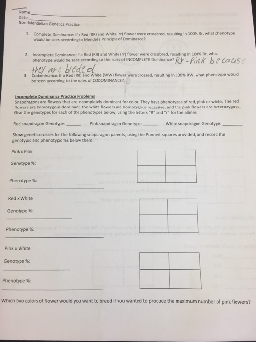 Non Mendelian Genetics Practice 1 Complete Chegg Com