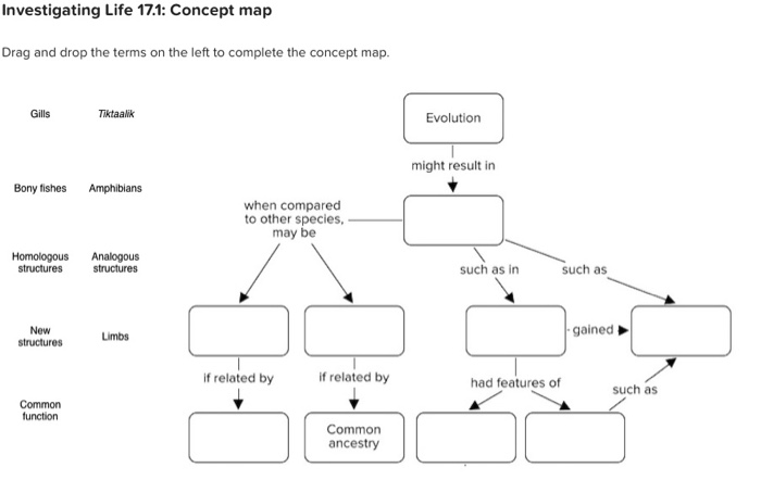 Drag And Drop The Terms On The Top To Complete The Concept Map. Solved: Investigating Life 17.1: Concept Map Drag And Drop 