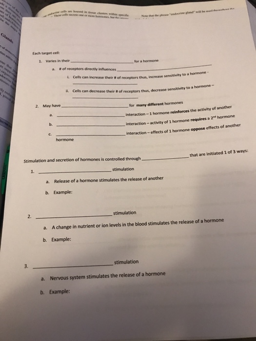 Endocrine system worksheet quizlet image