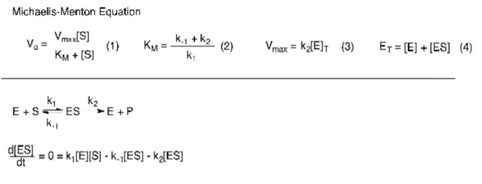 Solved Description The Michaelis Menten Equation Equation Chegg Com