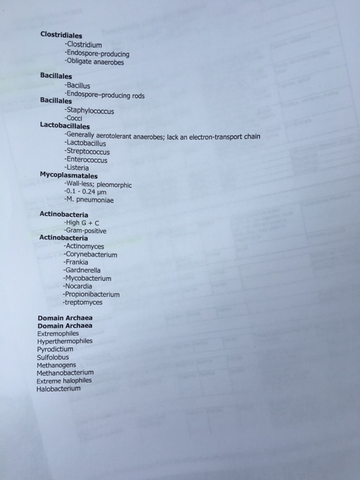 Leaf dichotomous key answers image