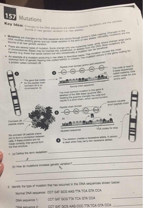 Mutations Worksheet Answer Key Fill Online Printable