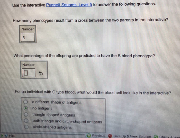 Solved Use The Interactive Squares. Level 5 To An