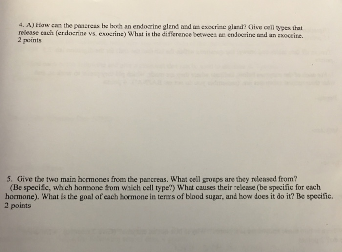 Solved 4 A How Can The Pancreas Be Both An Endocrine Gland Chegg Com