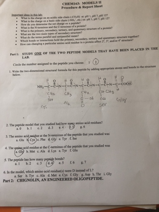 Solved Chem 163 Models 11 Procedure Report Sheet Import Chegg Com