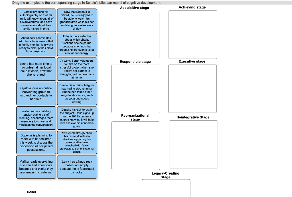 executive stage of cognitive development