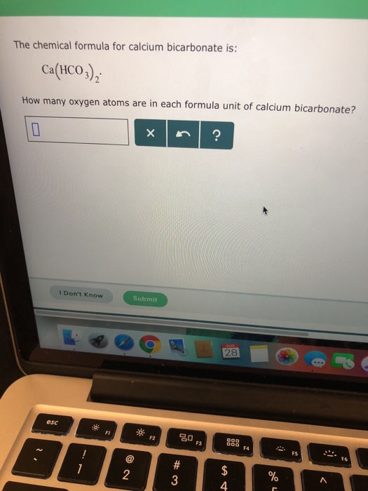 Solved The chemical formula for calcium bicarbonate is: | Chegg.com