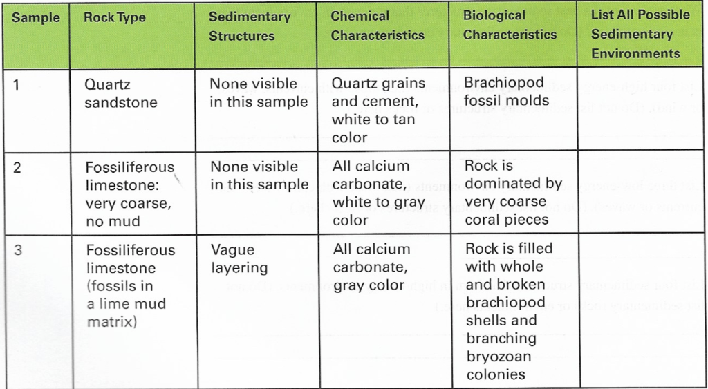 Solved Sedimentary Structures Chemical Characteristics Chegg Com