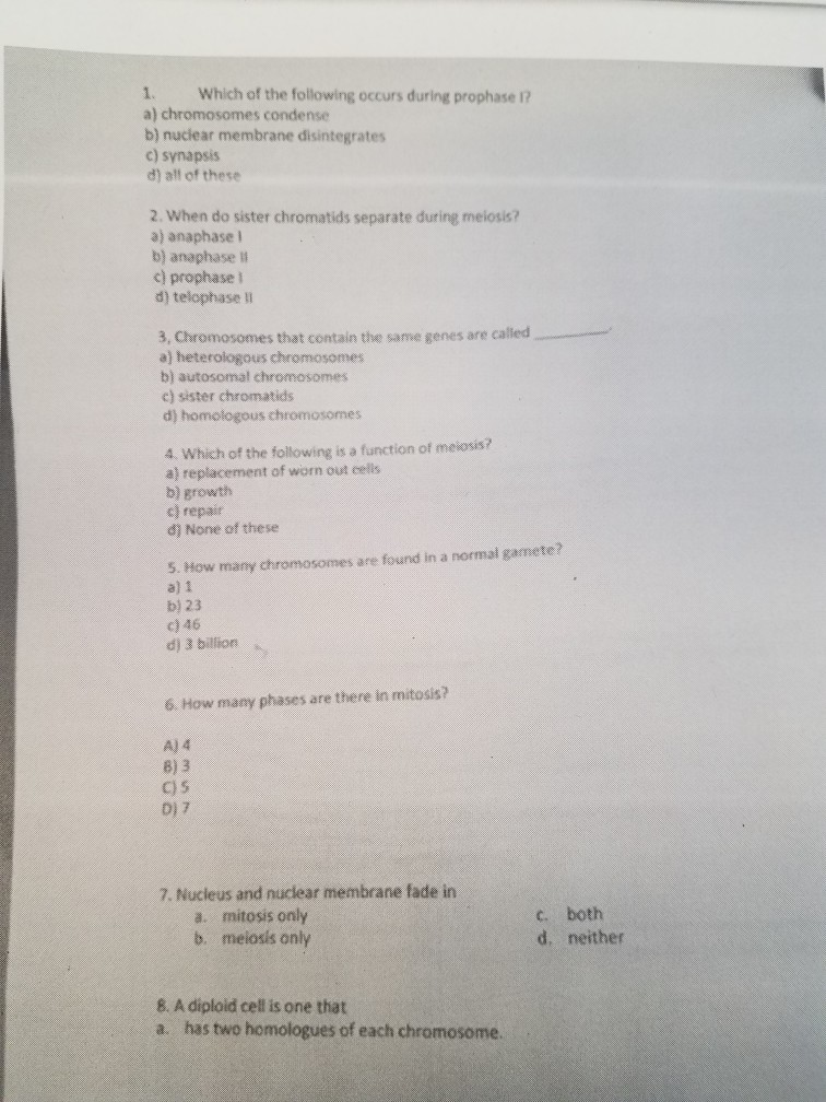 Solved 1. Which Of The Following Occurs During Prophase A) | Chegg.com Solved 1. Which Of The Following Occurs During Prophase A) | Chegg.com