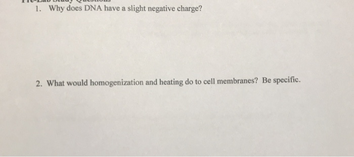 chegg