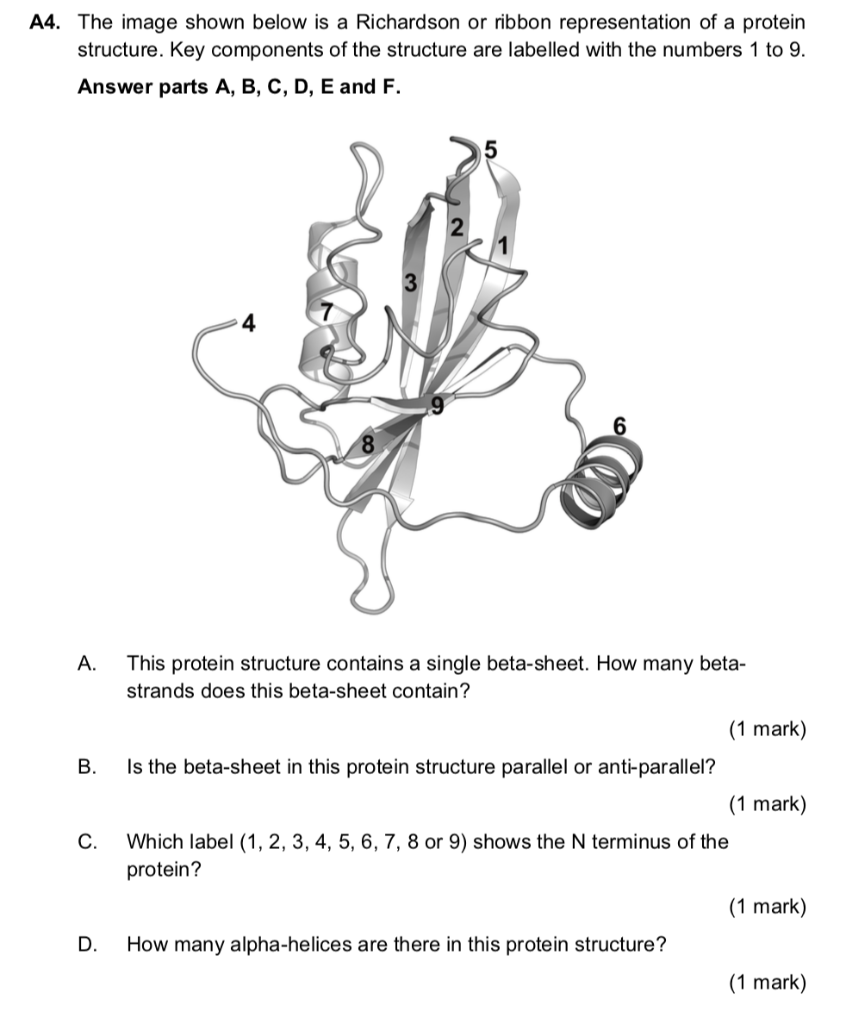 Solved The Image Shown Below Is A Richardson Or Ribbo Chegg Com