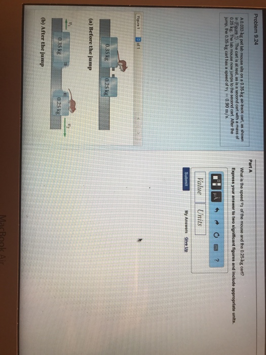 Solved A 0 032 Kg Pet Lab Mouse Sits On A 0 35 Kg Air Tra Chegg Com