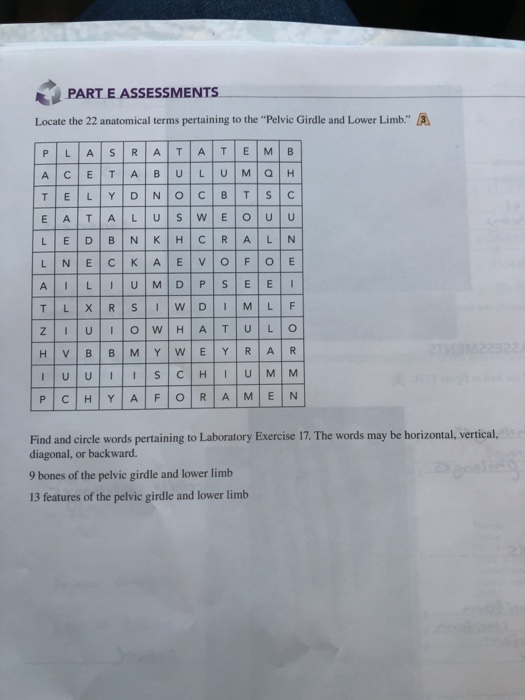 Part E Assessments Locate The 22 Anatomical Terms Chegg 