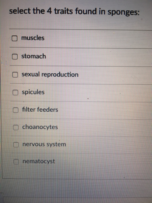 Solved Select The 4 Traits Found In Sponges Muscles Stom