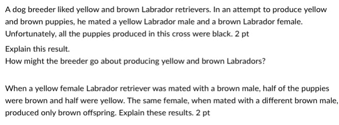 A Dog Breeder Liked Yellow And Brown Labrador Chegg 