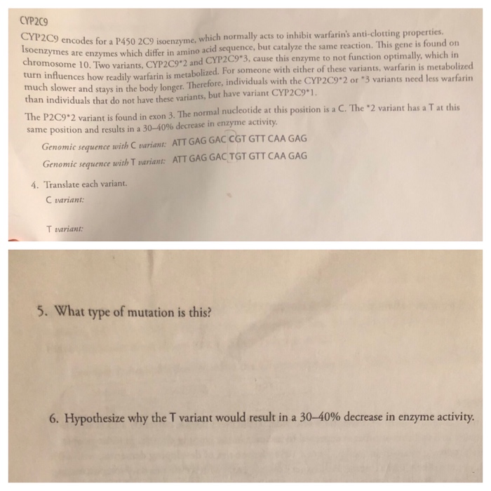 Solved Cyp9 Ray Encodes For A P450 2c9 Soenzyme Whic Chegg Com