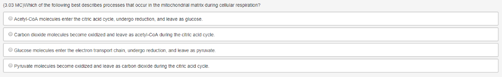 Which of the following best describes
