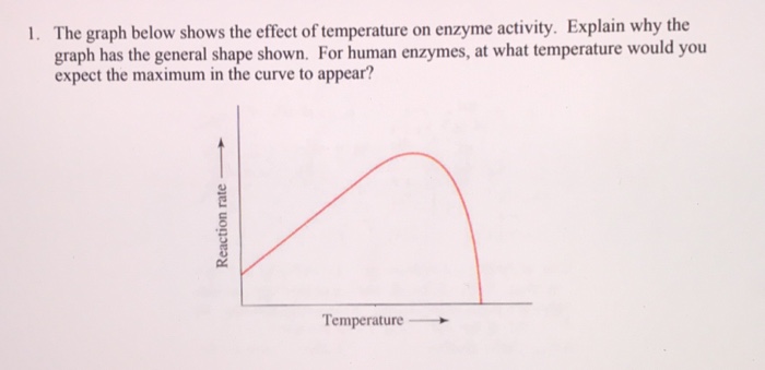 Solved The Graph Below Shows The Effect Of Temperature On Chegg Com