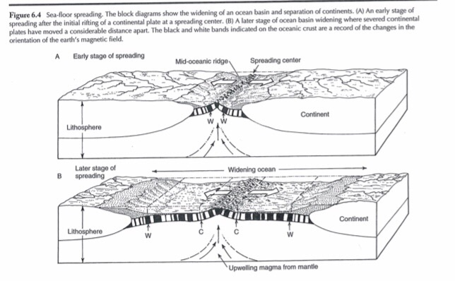 Figure 15 5 Outcrop Of Greenstone Slightly Metamo Chegg Com