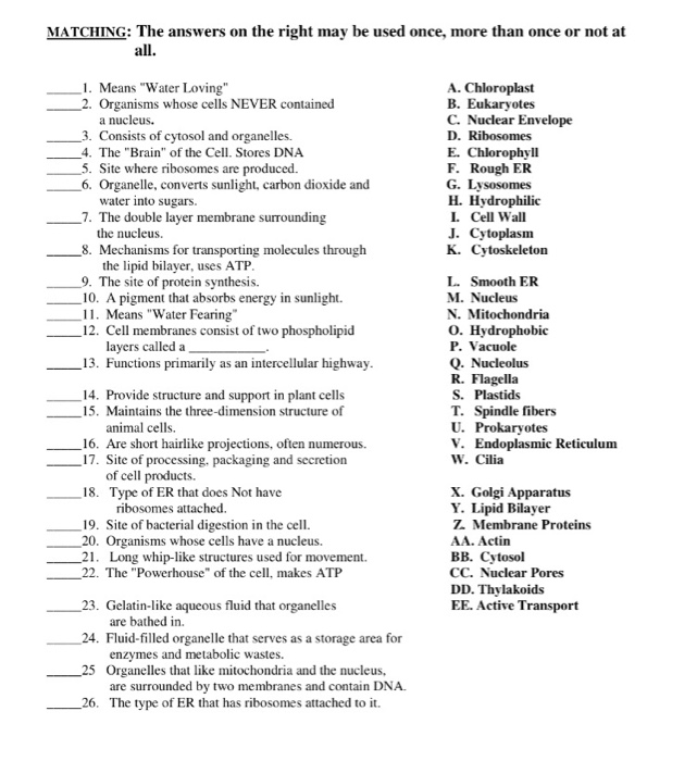 Solved Matching The Answers On The Right May Be Used Onc