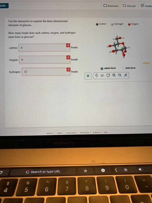 Solved Resources ve up reedbs Use the interactive to explore 