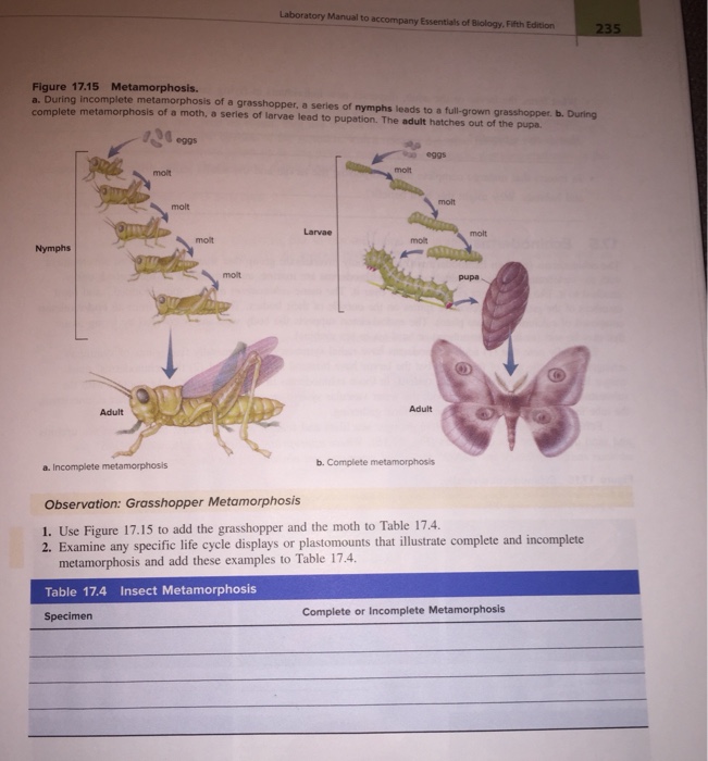 Lab manual for essentials of biology 4th edition